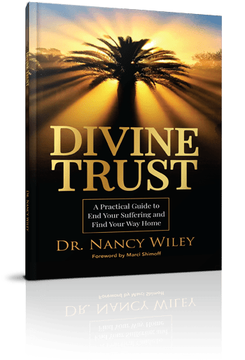 Divine-Trust-3D_3-lg